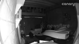 Mystery Creature Moves Boxes & Crawls On Camera in Garage