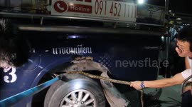 Snake caught lurking inside moving bus