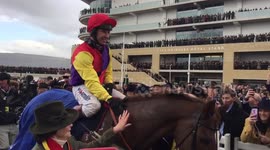 Richard Johnson rides Native River to victory in Gold Cup
