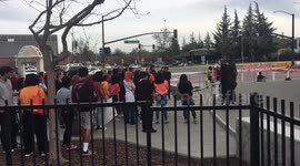 · ‘No more guns!’: