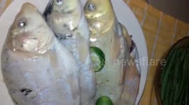 Recipe cooking Ikan Mas Arsik (Culinary Indonesia)