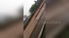 Newsflare Edit - Dogs is looking for help