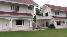 Sherwood Bay Resort and Dive Club Bohol Philippines - Ants, Millions of ants