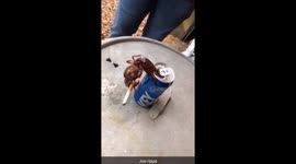 Joe ripppa https://t.co/hv8XGHGJuN