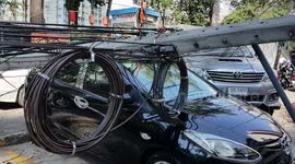 Thai locals say 'angry god' caused 50-year-old tree to fall onto cars