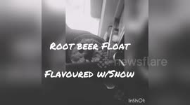 Newsflare Edit - Root Beer Float Flavored With Snow