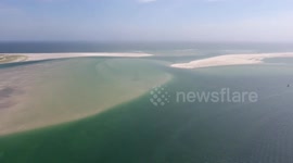 Great white shark patrol by Drone at Chatham, Cape Cod