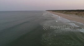 Humpback Whale Feeds at Wellfleet, Cape Cod