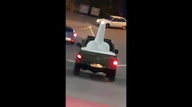 Couple encounters vehicle carrying phallus snow sculpture in Portuguese city