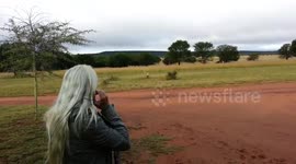 Women by accident double taps 500 nitro express rifle