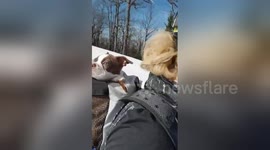 Newsflare Edit - Aston the snowboarding dog