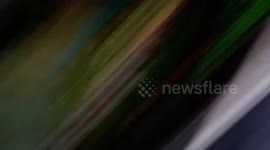 Cadari2 Barters in Bali! Knock-offs - Part the First