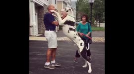 Kernel’s 1st birthday - a cued hug for grandpa