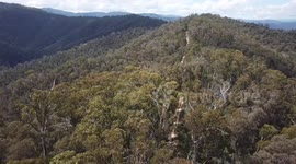 Amazing moment when an eagle attacks a drone in mid-air