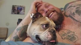 Adorable bulldog’s simple trick makes his owner laugh nonstop
