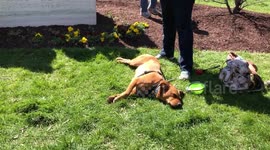 Scenes from March for Our Lives