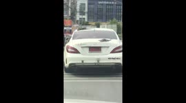 Toy lizards stuck on the side of car