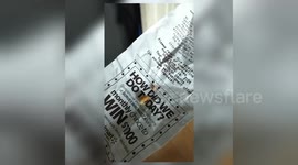 Newsflare Edit - Grandma scared to death with fake bug