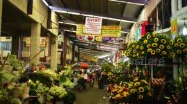 Local flower Market in Mexico City