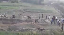 Angry elephant calf charges rescue team