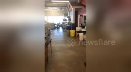 Newsflare Edit - Random Habitat for Humanity ReStore customer playing the piano beautifully.