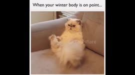 Winter Body