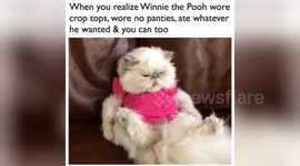 Newsflare Edit - Making excuses to throw out your diet