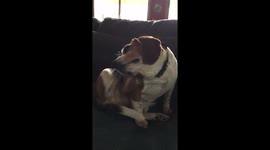 But. But. But I’m itchy