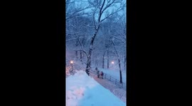 Second day of spring brings snow to New York City