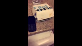 Hidden stash happy meal