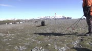 temp