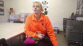 Britain's fattest pooch swells after a diet of BURGERS