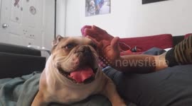 Never pat a short girl on the head