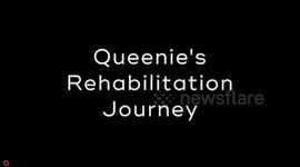 Pomeranian Penny takes to underwater treadmill to make miracle recovery