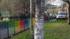 Squirrel eats pasty in London park part 2