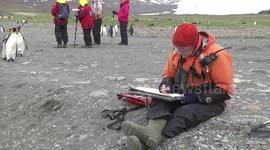 Polar artist Bruce Pearson at work in the field - St Andrew's Bay, South Georgia