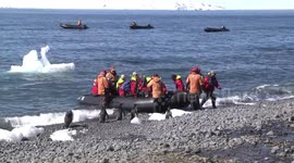 Penguins watching a wet landing by passengers from a Zodiac at Brown Bluff, Antarctic Peninsula
