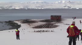 Tourists walking to Argentine Refugio with Gentoo Penguin rookery, D'Hainaut Island