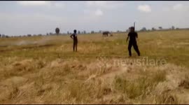 Baby elephant fallen into well in Ampara rescued by srilankan wildlife officers