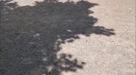 House of Proklos, Athens Greece