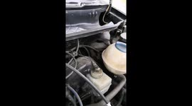 Black mamba snake pulled from car engine