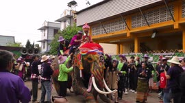 Boys riding elephants to ordain as monks