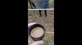 Hilarious moment horse discovers his distaste for coffee