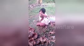 Blind teenager opens coconuts with her bare teeth