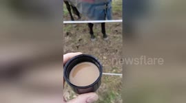 Hilarious moment horse discovers his distaste for coffee