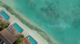 Shark from above maldives