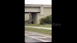 Lakeland Police kick and beat a cowering honeless man.