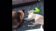 temp