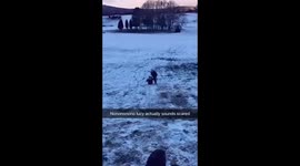 Grown woman’s first time sledging