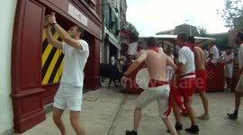 Fêtes de Bayonne 2014 And the winner is, vache 1 selfie 0 